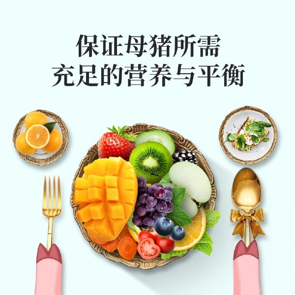 4%妊娠母猪预混料怀孕母猪专用饲料微量元素乳腺丰满防便秘