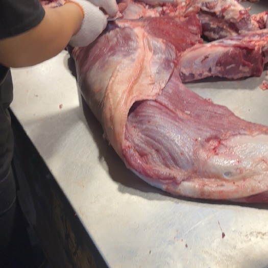 杭州纯干黄牛肉部位价格各位老板需要可以联系