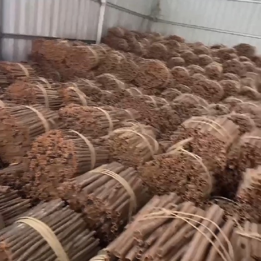 德庆县桂通