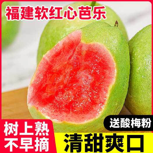 平和县树上熟红心芭乐3斤/5斤红肉芭乐潘石榴草莓红心芭乐