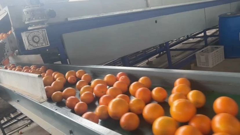 佳派农业纽荷尔脐橙供应链选品直播代发橙子
