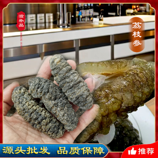 靴参荔枝参淡干海参泡发率高厚肉酒店家庭滋补干货批发