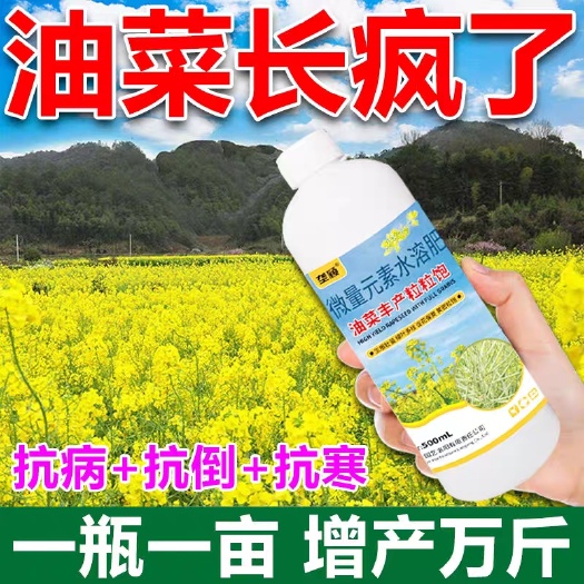 栾川县油菜丰产粒粒饱提高出油率促花保花授粉抗倒伏油菜专用肥料叶面肥
