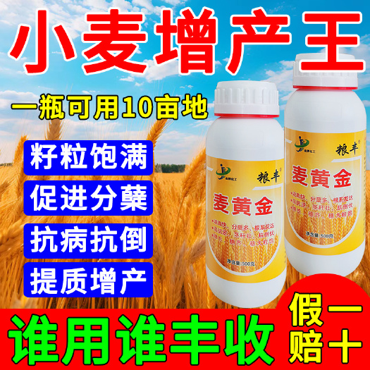 栾川县麦黄金小麦专用叶面肥控旺分蘖抗倒伏籽粒粒增产套餐水溶肥料