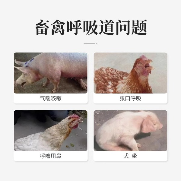 顺呼2kg饲料添加剂鸡鸭鹅兔牛羊猪预混料