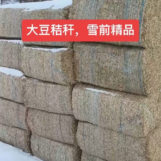 甘南县精品大豆秸秆，带豆皮
