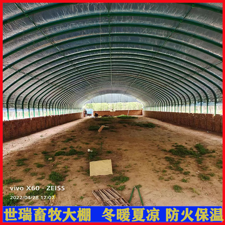 鸡舍大棚建设 肉鸡保温大棚安装 蛋鸡养殖大棚施工