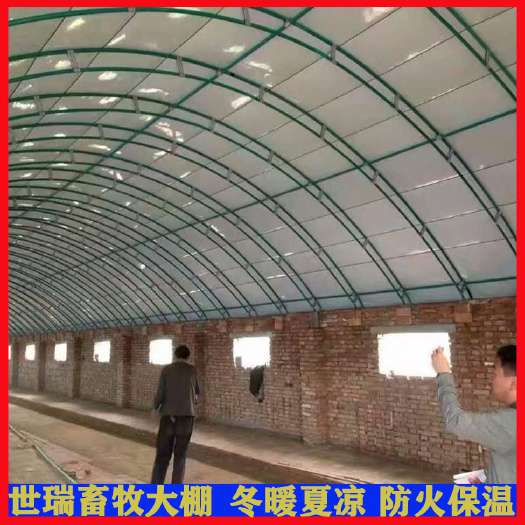 宁津县鸡舍大棚建设 肉鸡保温大棚安装 蛋鸡养殖大棚施工