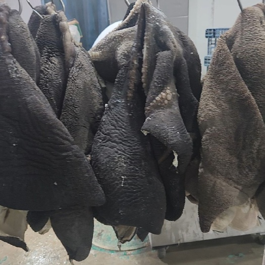 全熟黑牛肚，十成熟