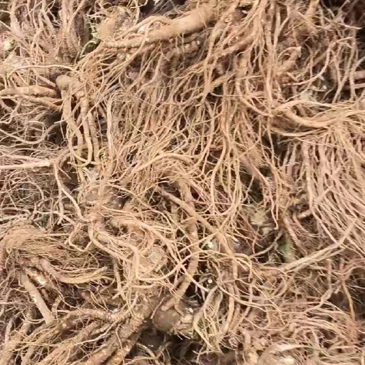 汉源县有需要的老板请联系我 丰收季节￼药材不错￼