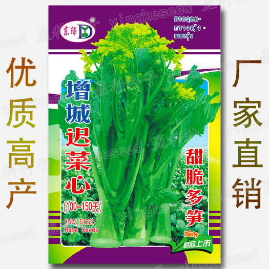 广东增城迟菜心种子高脚大笋甜菜心种籽白菜苔青菜秋冬季蔬菜种孑