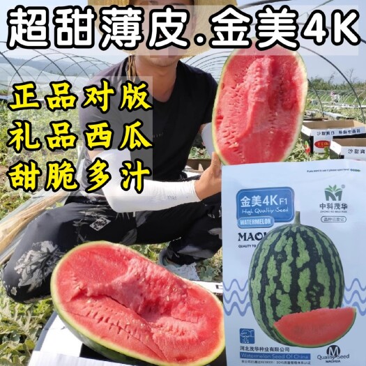洛阳金美4K西瓜种子，中早熟，礼品西瓜新品种，甜脆多汁，抗病