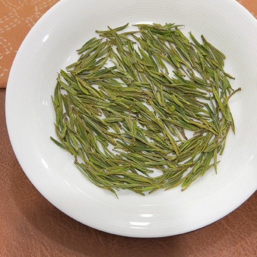 杭州安吉白茶头采