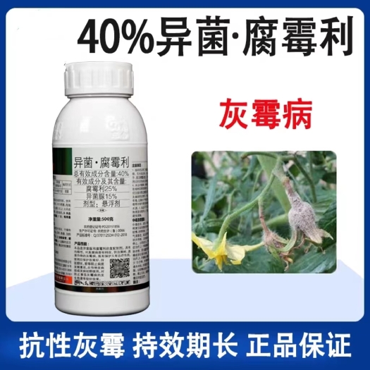 长沙40%异菌脲腐霉利番茄西红柿辣椒灰霉病叶霉病菌核病杀菌剂