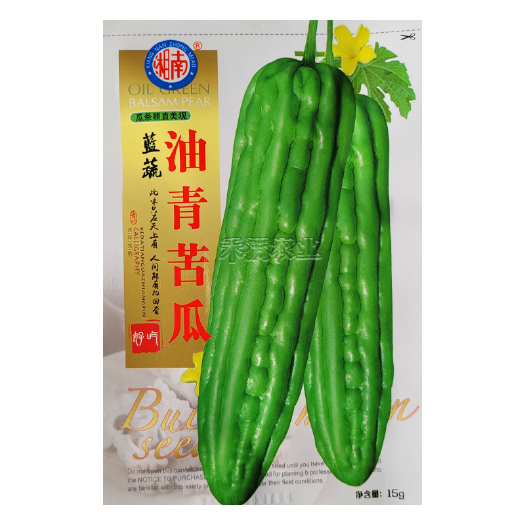 武汉油青大苦瓜种子耐热耐寒多肉苦瓜种籽早熟翠玉绿色苦瓜种籽