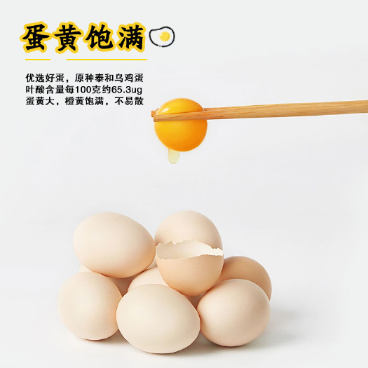 南昌原种泰和乌鸡蛋-初生蛋