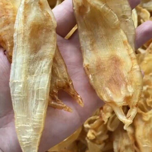广州90头清水尖尾双牙胶,足干厚肉