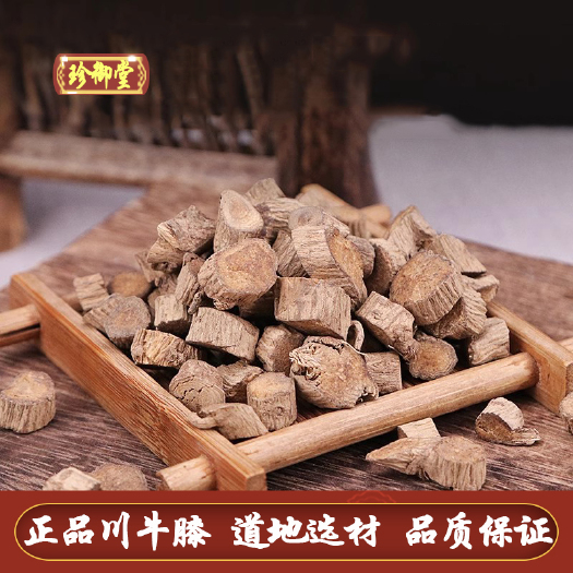 正品川牛膝 片型均匀 现货供应  批发川牛膝 诚信经营