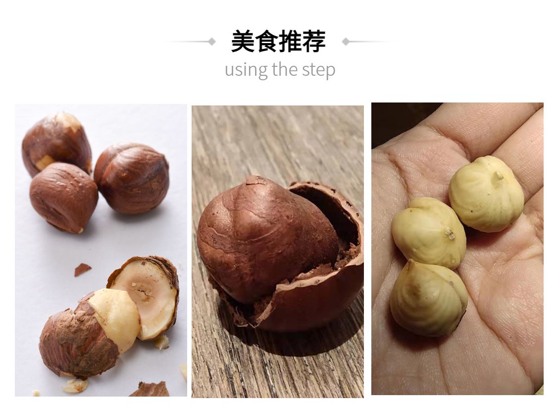 东北开口大榛子果450g个大饱满原味清香酥脆薄皮手剥即食坚果