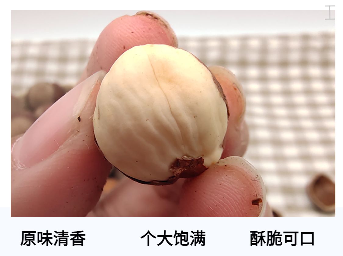 东北开口大榛子果450g个大饱满原味清香酥脆薄皮手剥即食坚果