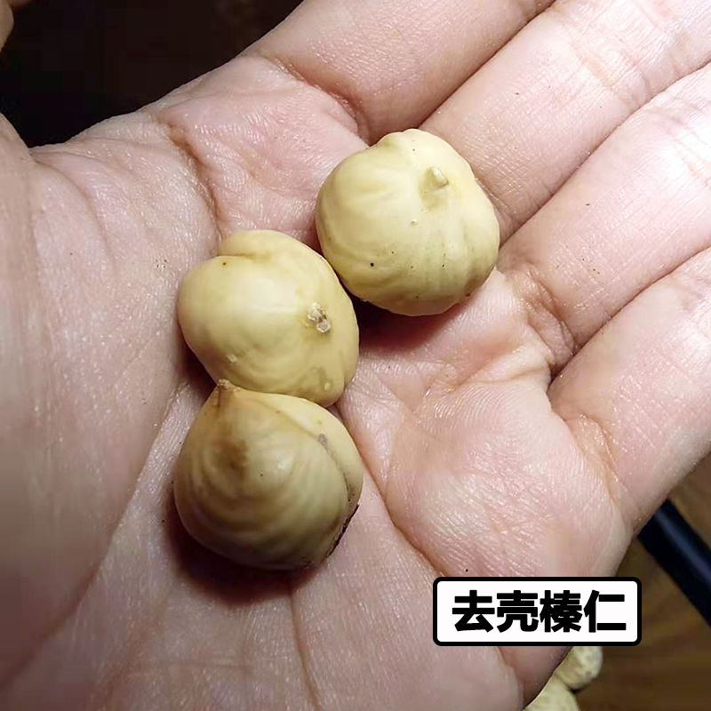 东北开口大榛子果450g个大饱满原味清香酥脆薄皮手剥即食坚果