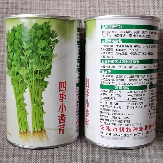 洛阳四季小香芹种子 实心小芹菜 早熟直立性强 叶柄嫩绿 高产芹菜