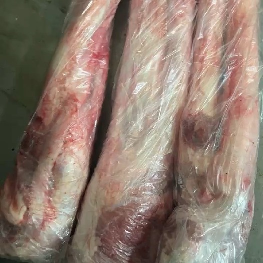 鲜黄牛鞭