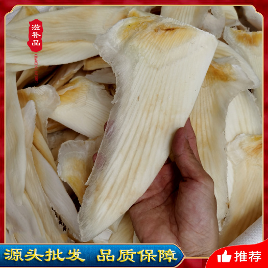 广州乌羊翅鱼翅足干大片高档出翅针率高礼盒送人批发