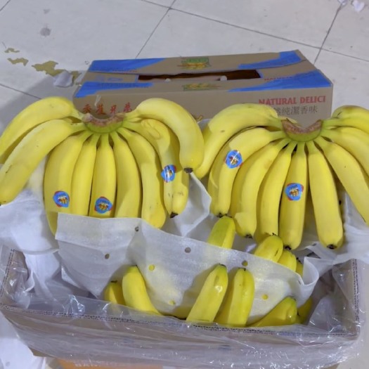 上海主要经营：菲律宾精品二级蕉，净重27斤，保质保量，大量现货。