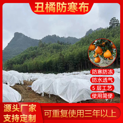 东莞市防霜布冬季大棚丑橘树防寒布果园柑橘防冻防霜盖布植物透气保温布