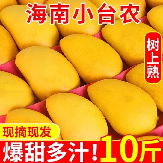 三亚广西小台农芒果新鲜10斤应季小台芒果树上熟热带甜水果现摘整箱