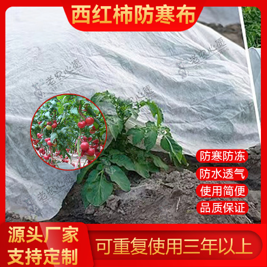 东莞市白色农作物防寒布蔬菜西红柿沃橘果树保温布果园防寒袋防冻布