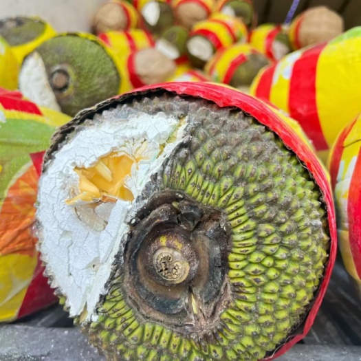 昆明越南红心菠萝蜜基地打包装车走货