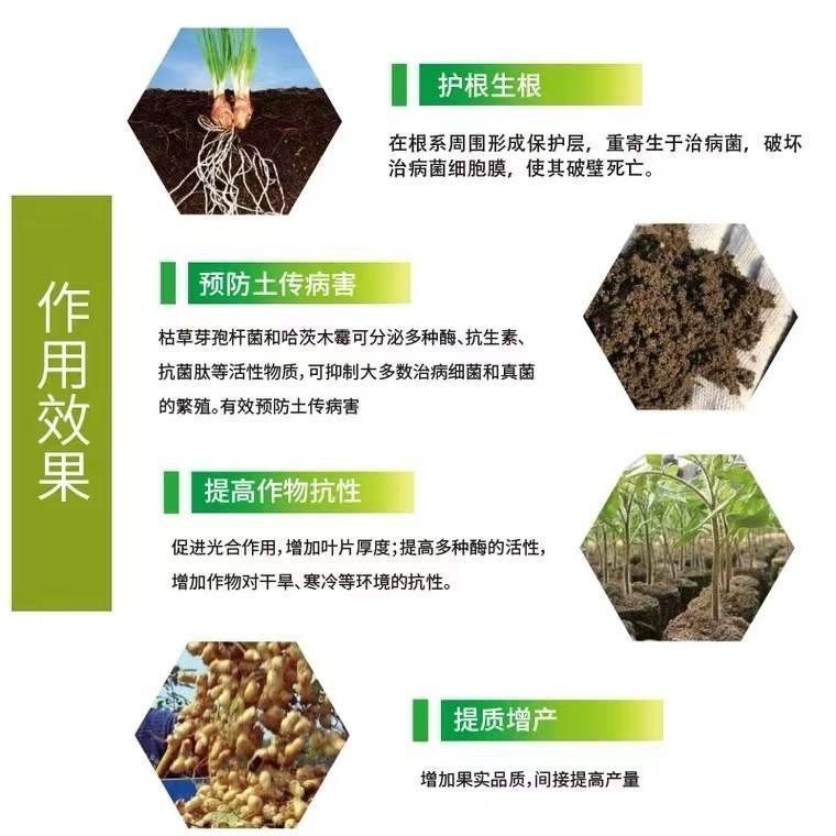 枯草芽孢杆菌生物菌肥水产养殖净水质农用水溶肥料通用型EM菌