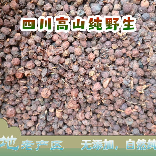 苍溪县正宗四川纯嘢生南五味子，自然纯正无硫，无染色，晒干