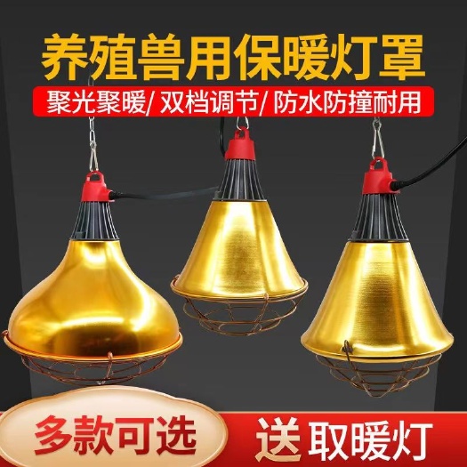 长沙养殖保温灯罩仔猪保温灯罩鸡舍取暖保温灯罩