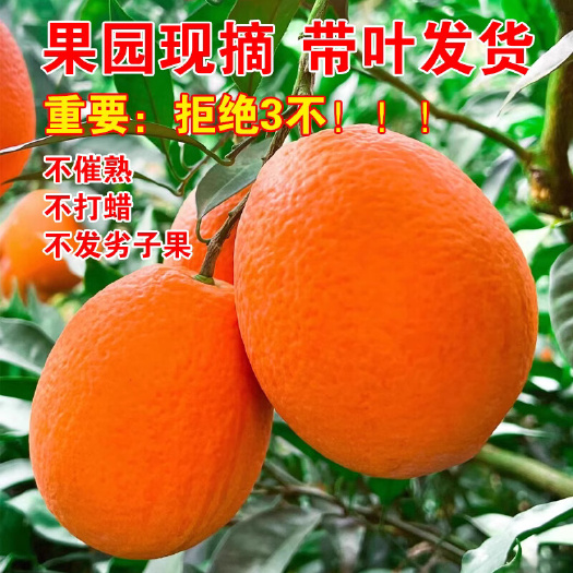 重庆奉节脐橙现摘孕妇水果整箱应季新鲜橙子包邮产地直发