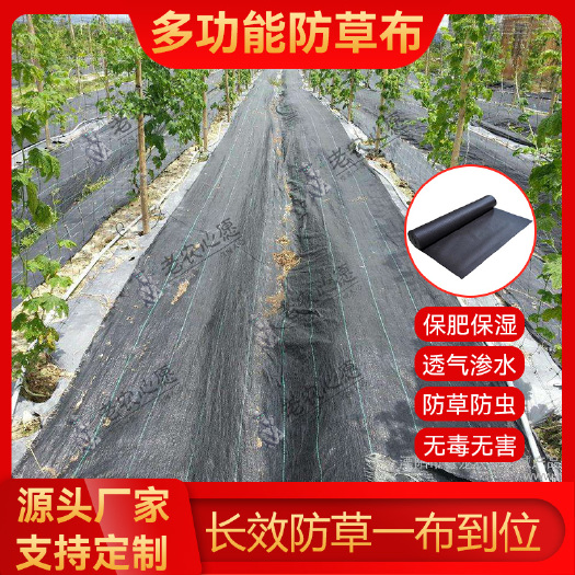 东莞市防草布除草布厂家批发盖草布农用果园果树大棚打孔切片园艺地布