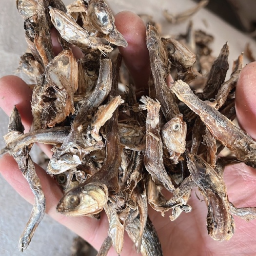 海兴县饲料鱼干