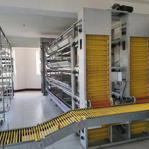 长沙养殖场自动化捡蛋机大型鸡场用拾蛋机
