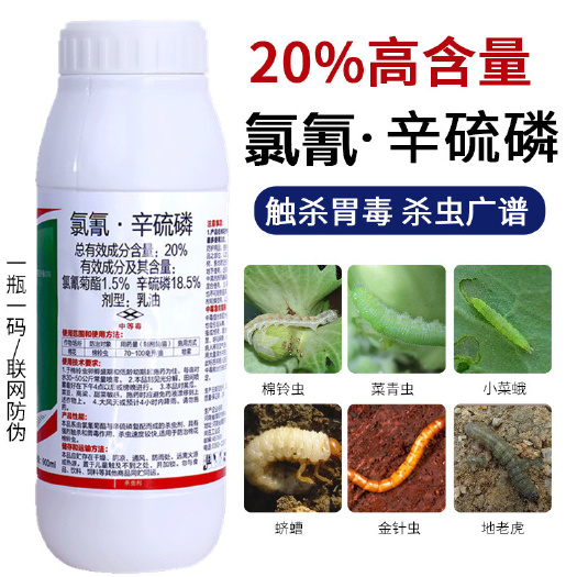 新沂市20%氯氰辛硫磷棉铃虫土蚕地老虎金针虫蝼蛄地下害虫农药杀虫剂