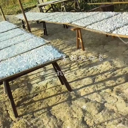 浦城县红薯粉，地瓜粉