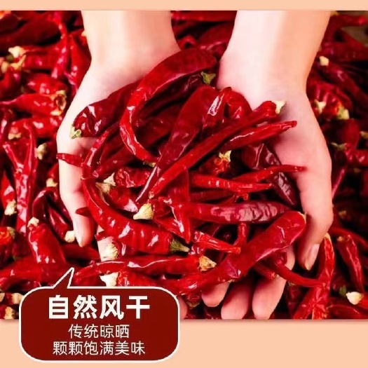 南宁特辣干辣椒产地批发，辣椒干辣