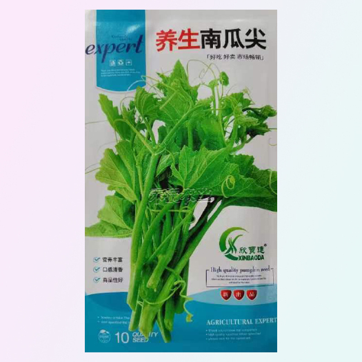 武汉养生南瓜尖专门吃南瓜苗高产速生春夏秋南瓜藤南瓜茎嫩叶蔬菜种子