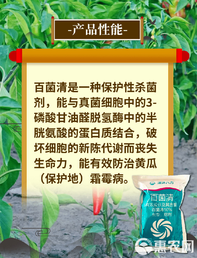 百菌清 烟熏剂大棚蔬菜霜霉病真菌病害保护杀菌