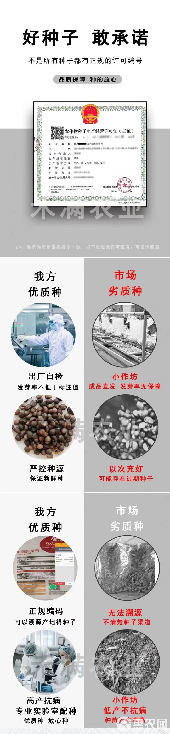 高产白豆角种子早熟爬藤小白龙豇豆种籽春秋二季播农家蔬菜种孑