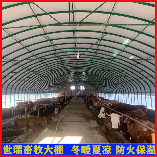 宁津县安装养牛大棚材料 牛舍大棚施工 肉牛养殖大棚建造