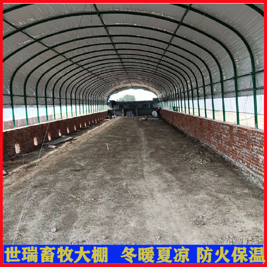 养羊大棚建设 保温羊舍大棚施工 肉羊养殖大棚建造