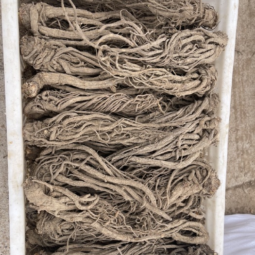 甘洛县甜当归 干货 东当归 整根手搓个子