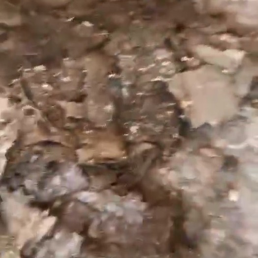 郁南县优质谷壳鸡粪肥供应